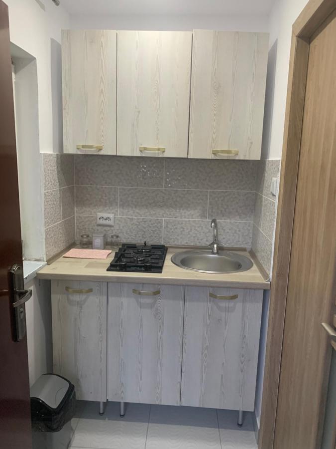 Casa Anastasia-Constanta Delfinariu エクステリア 写真